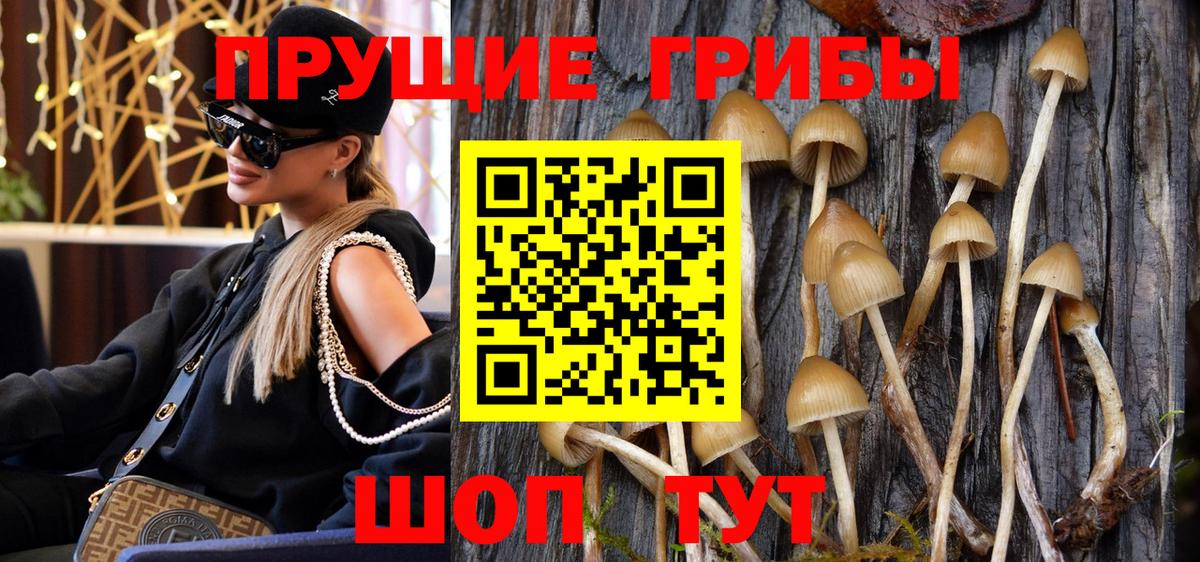 Галлюциногенные грибы GOLDEN TEACHER  Вход с VPN  Полевской 
